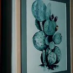Le Nopal Bleu Appartement Tarascon-sur-Ariège