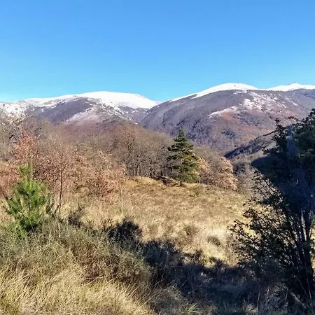Le Nopal Bleu Apartamento