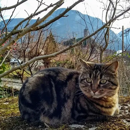 Le Nopal Bleu Apartamento *