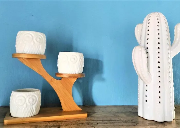 Le Nopal Bleu Апартаменты Тараскон-сюр-Арьеж