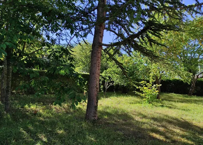 Le Nopal Bleu Апартаменты Тараскон-сюр-Арьеж