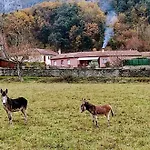 Le Nopal Bleu Appartamento *