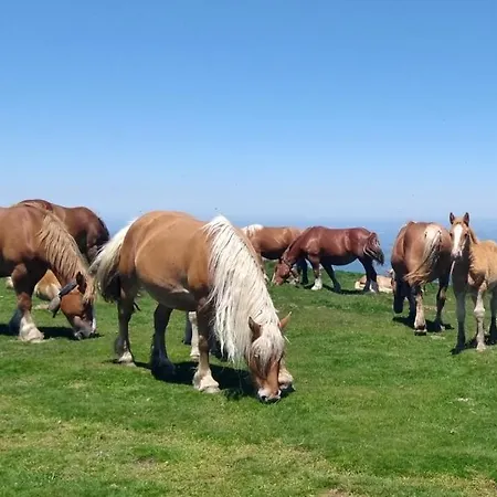 Apartamento Le Nopal Bleu