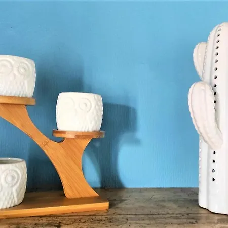 Le Nopal Bleu Apartamento Tarascon-sur-Ariège