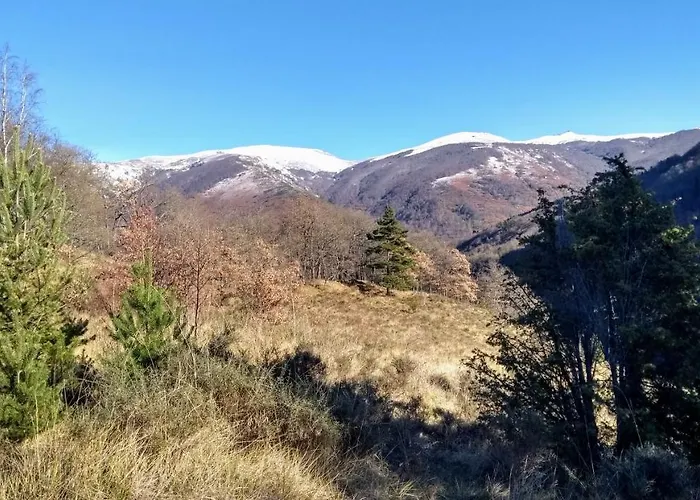 Le Nopal Bleu 公寓