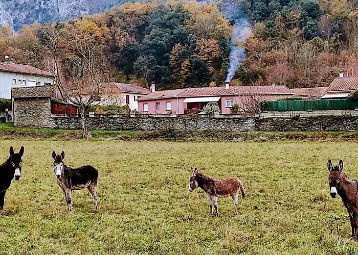 Le Nopal Bleu 公寓 *