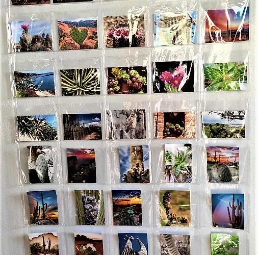 Le Nopal Bleu 公寓 阿列日河畔的塔拉斯孔