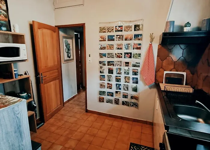 公寓 Le Nopal Bleu