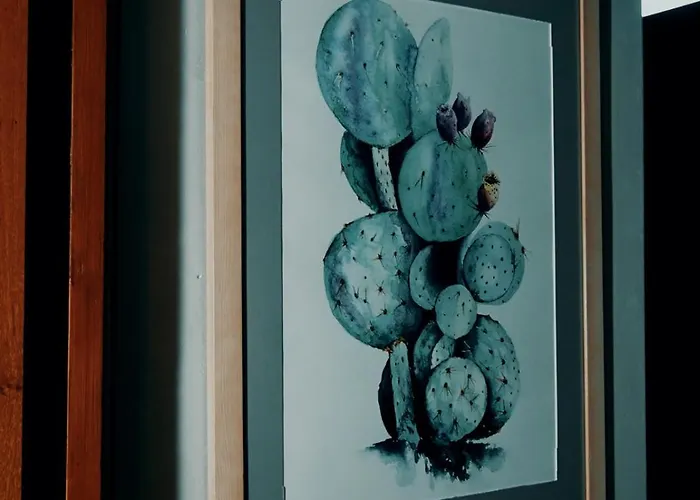 Le Nopal Bleu 公寓 阿列日河畔的塔拉斯孔